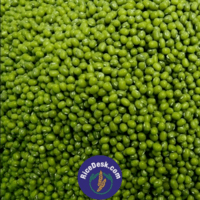 Green Moong Round | Pesarlu